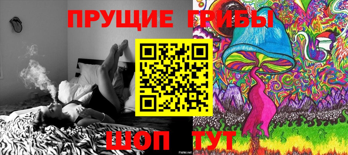 Галлюциногенные грибы мицелий Нерюнгри