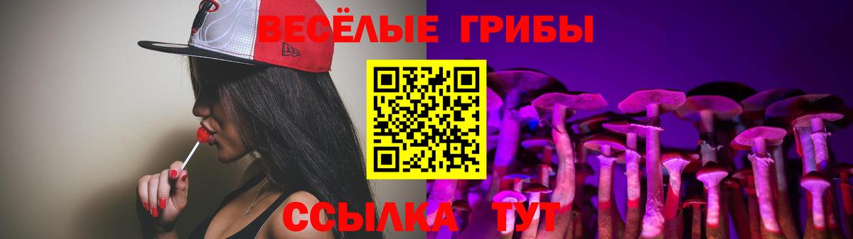 Галлюциногенные грибы мицелий  Вход с VPN  Нерюнгри 